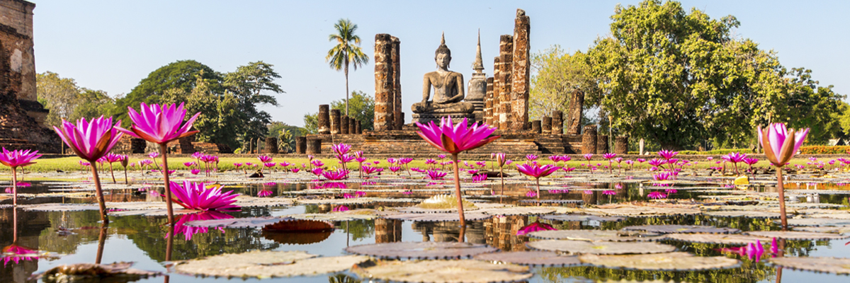 Tours por Asia todo el año