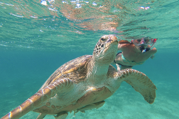 Snorkel en Hurganda y Sharm, viajes a Egipto baratos.